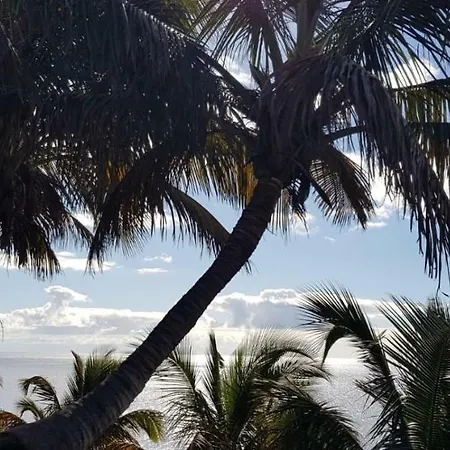 Διαμέρισμα Casa Papagayo Σάντα Κρουζ Τενερίφης
